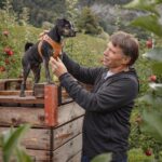 CURLI APLLE ARNES VEGAN CÃO WEPET