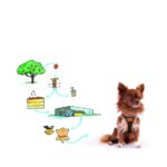 CURLI APLLE ARNES VEGAN CÃO WEPET