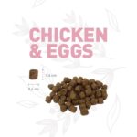 WEEGO CAT CHICKEN & EGGS WEPET GATO