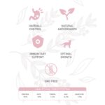 WEEGO CAT CHICKEN & EGGS WEPET GATO