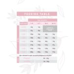 WEEGO CAT CHICKEN & EGGS WEPET GATO