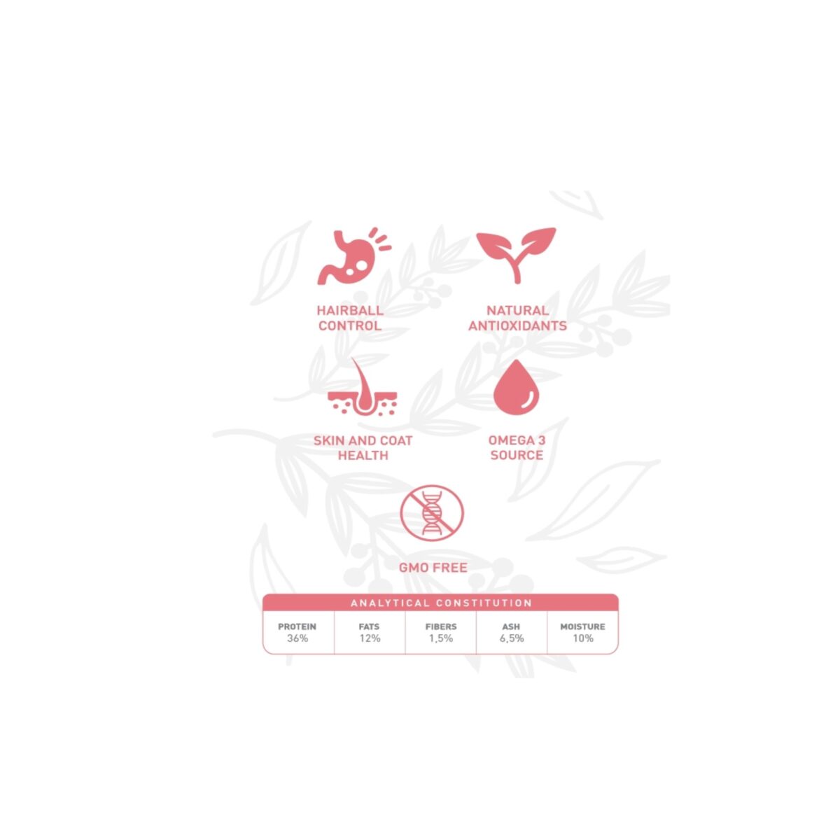 Weego Cat steril salmon & green tea wepet gato