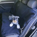 Capa de assento reversível Bones wepet