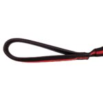 Ibáñez Shock Absorbing Bumgee wepet cão