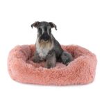 CARESS PET BED WEPET CÃO GATO