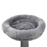 echo tree cat wept gato