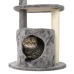 echo tree cat wept gato