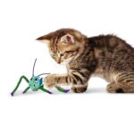 KONG CAT CRACKLES GRASSHOPPER (CRCL52E) WEPET GATO