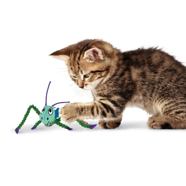 KONG CAT CRACKLES GRASSHOPPER (CRCL52E) WEPET GATO