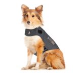 thundershirt cão wepet