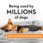 thundershirt cão wepet