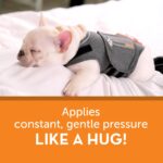 thundershirt cão wepet