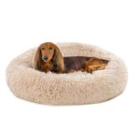 Donut Caress wepet cão gato