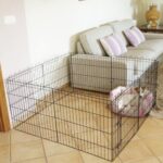 Parque de metal dobrável wepet cão