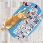 KONG DAILY NEWSPAPER XL (RKDXE) WEPET CÃO