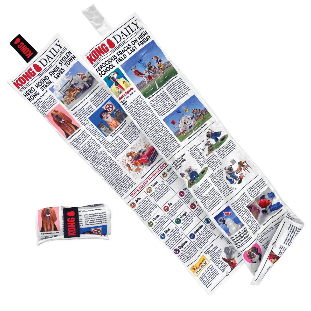 KONG DAILY NEWSPAPER XL (RKDXE) WEPET CÃO