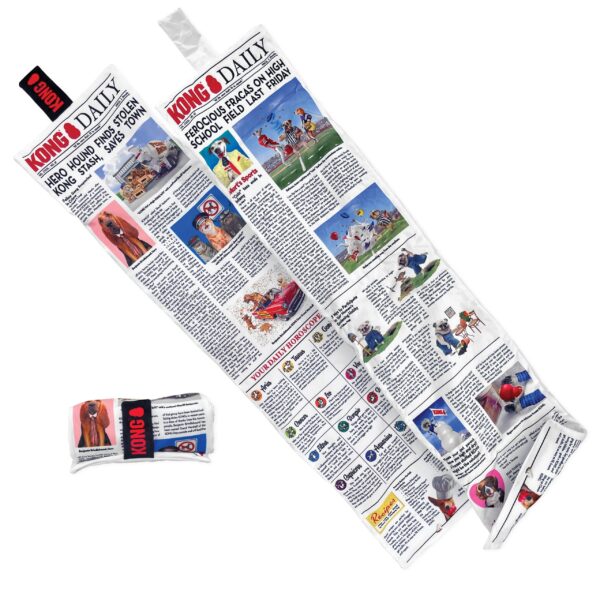 KONG DAILY NEWSPAPER XL (RKDXE) WEPET CÃO