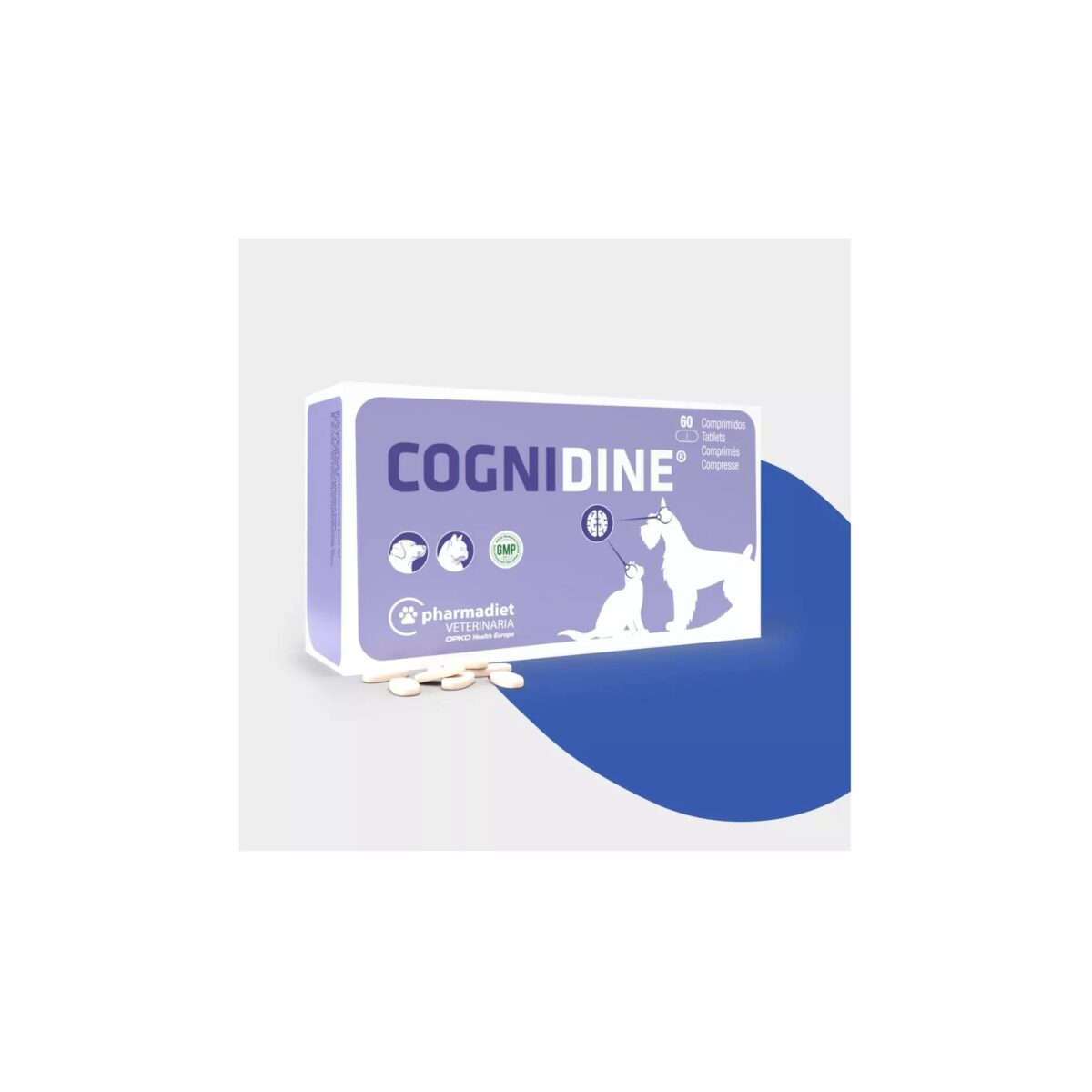 Cognidine® 60cp wepet cão gato