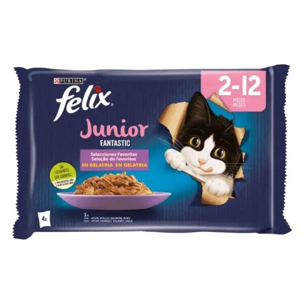 PURINA FELIX Fantastic Junior 4x85GR WEPET GATO