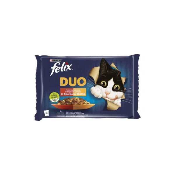PURINA FELIX® Fantastic Duo Saborosa Seleção do Campo 4x85gr wepet gato