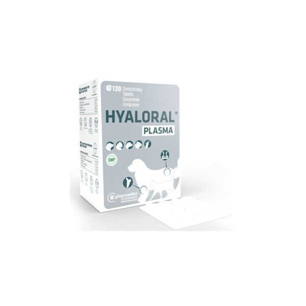 Plasma Hyaloral para Cães, Gatos e Roedores 50ml wepet