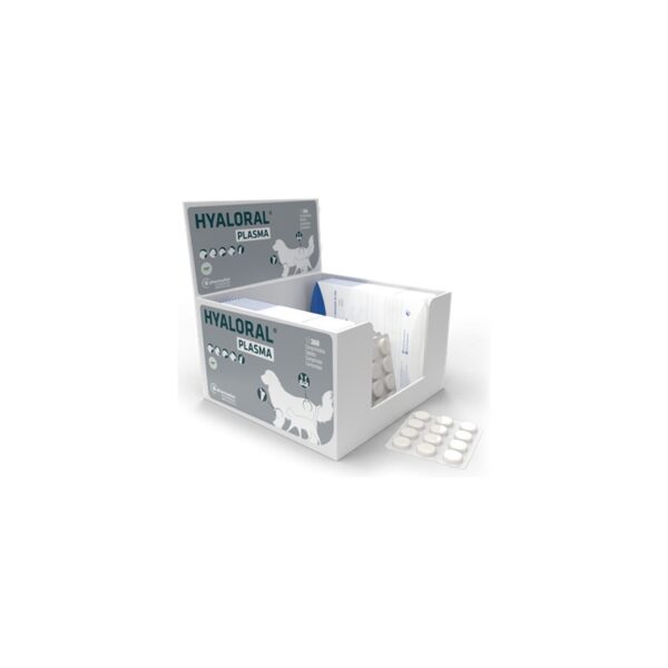 Plasma Hyaloral para Cães, Gatos e Roedores 50ml wepet