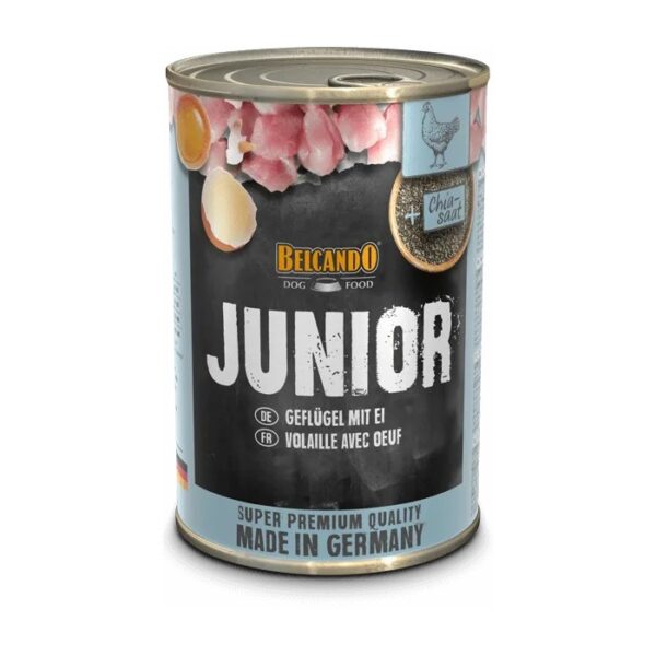 BELCANDO JUNIOR C/ AVES E OVOS WEPET CÁO