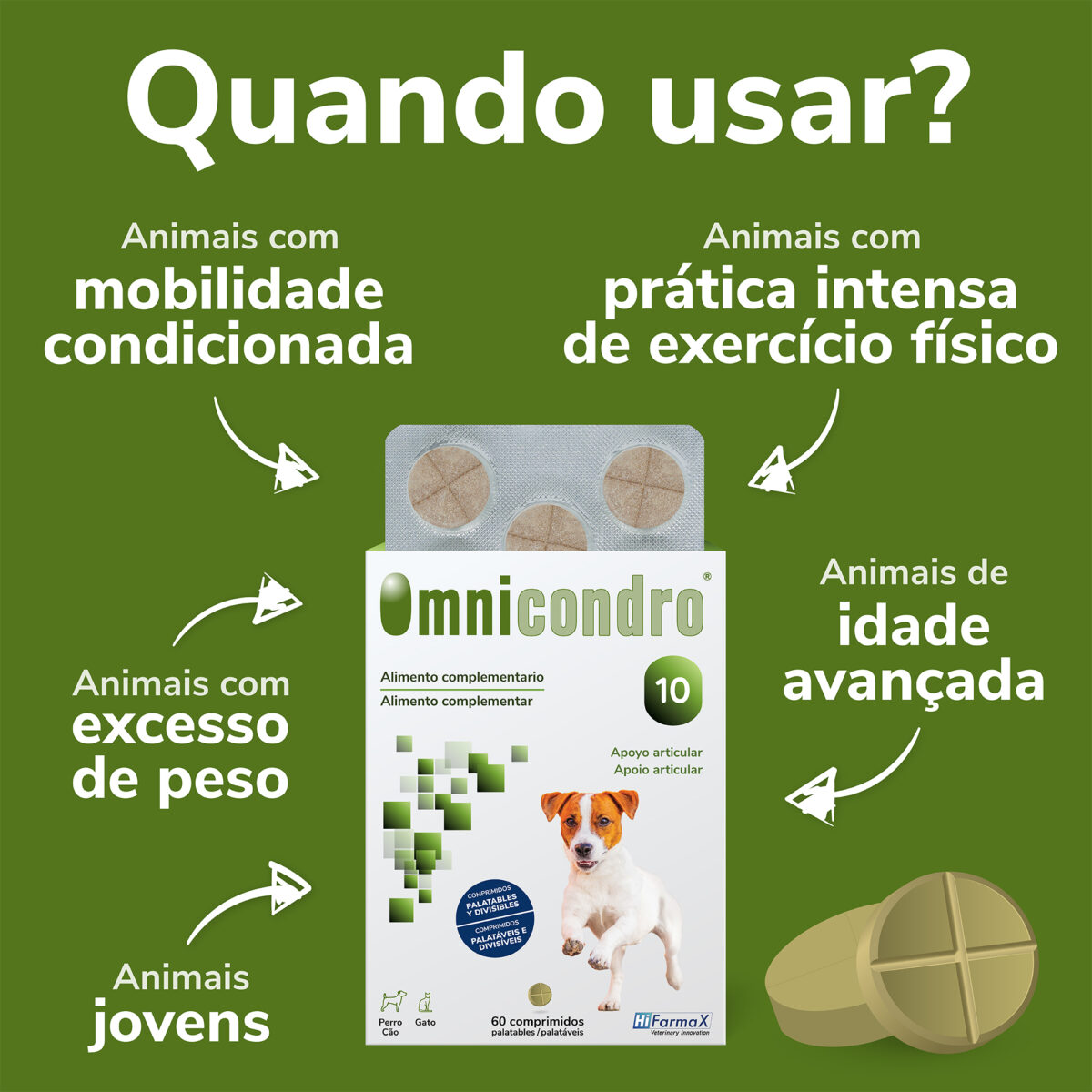 OMNICONDRO 10MG 60CP WEPET