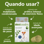 OMNICONDRO 10MG 60CP WEPET