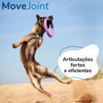 MOVEJOINT 120CP WEPET