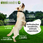 OMNICONDRO 20MG 60CP WEPET