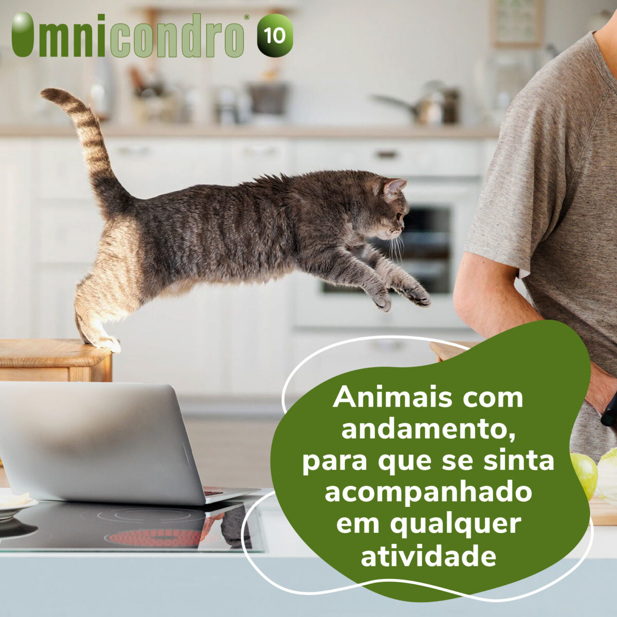 OMNICONDRO 10MG 60CP WEPET