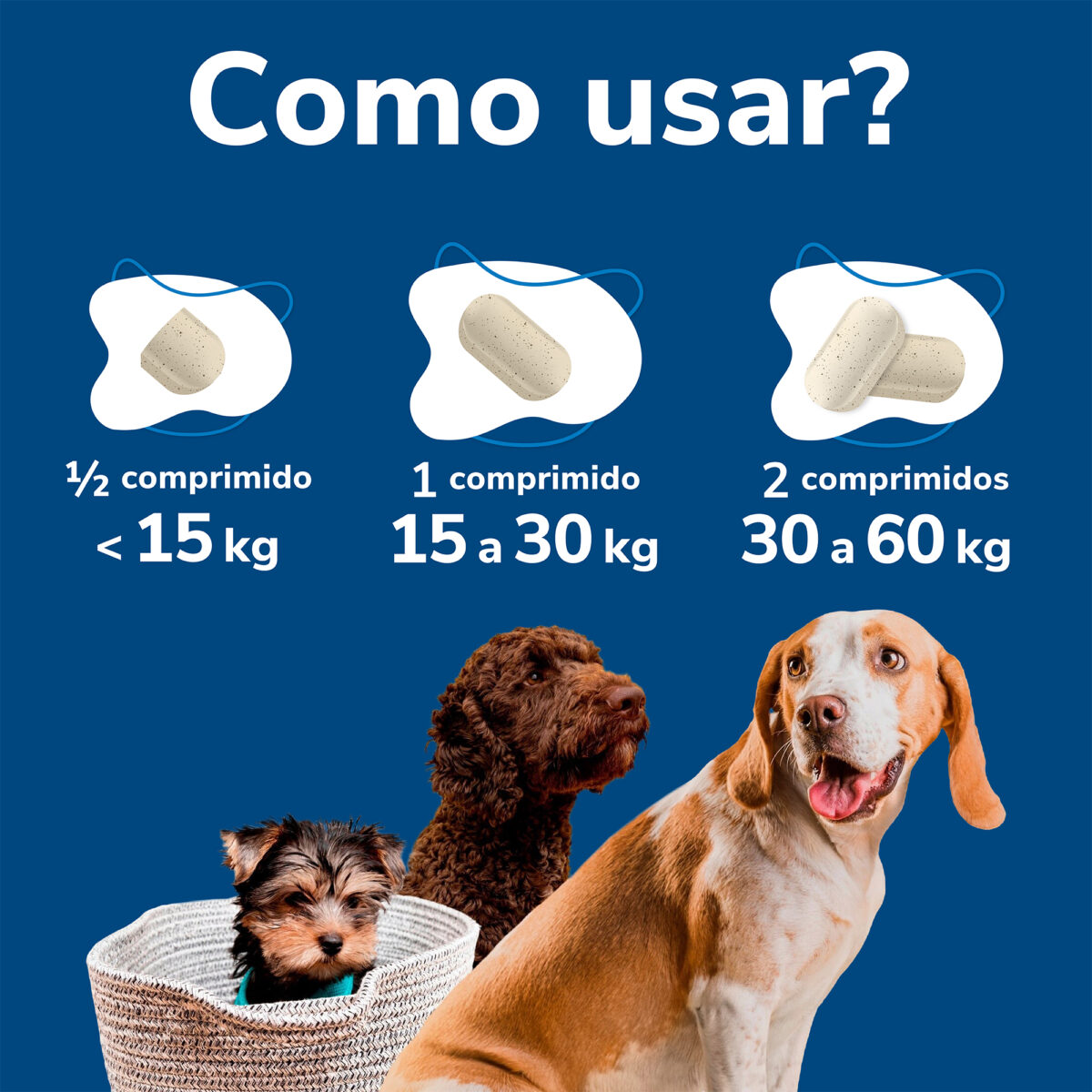 MOVEJOINT 120CP WEPET