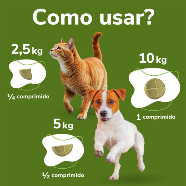 OMNICONDRO 10MG 60CP WEPET