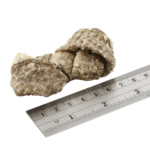 F4D Dental Sea Jerky Fish Knots 100g wepet