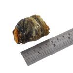 F4D Love Apple Fish Wraps 90g wepet cão