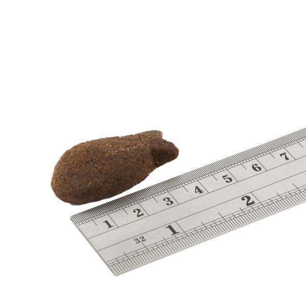 F4D Support+ Skin & Coat Mackerel Morsels 225g wepet