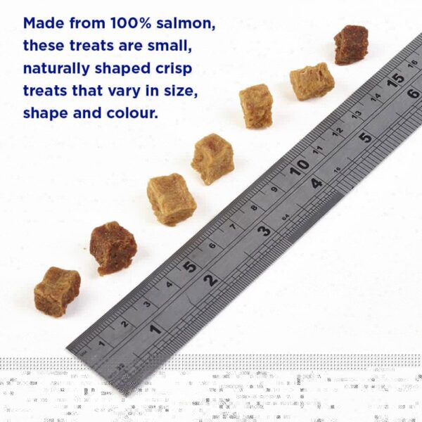 F4D Training Adult Salmon Bites 80g wepet