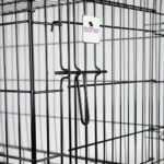 METAL PET CRATE WEPET