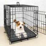 METAL PET CRATE WEPET