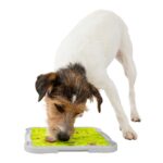 PLACA LICKNSNACK (P/ INGESTAO LENTA) 20x20 CM wepet