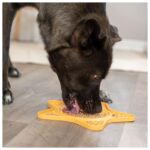 PLACA "LICK'N'SNACK" EM SILICONE 23,5 CM (AMARELO) WEPET