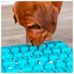 PLACA LICKNSNACK EM SILICONE 30 CM WEPET