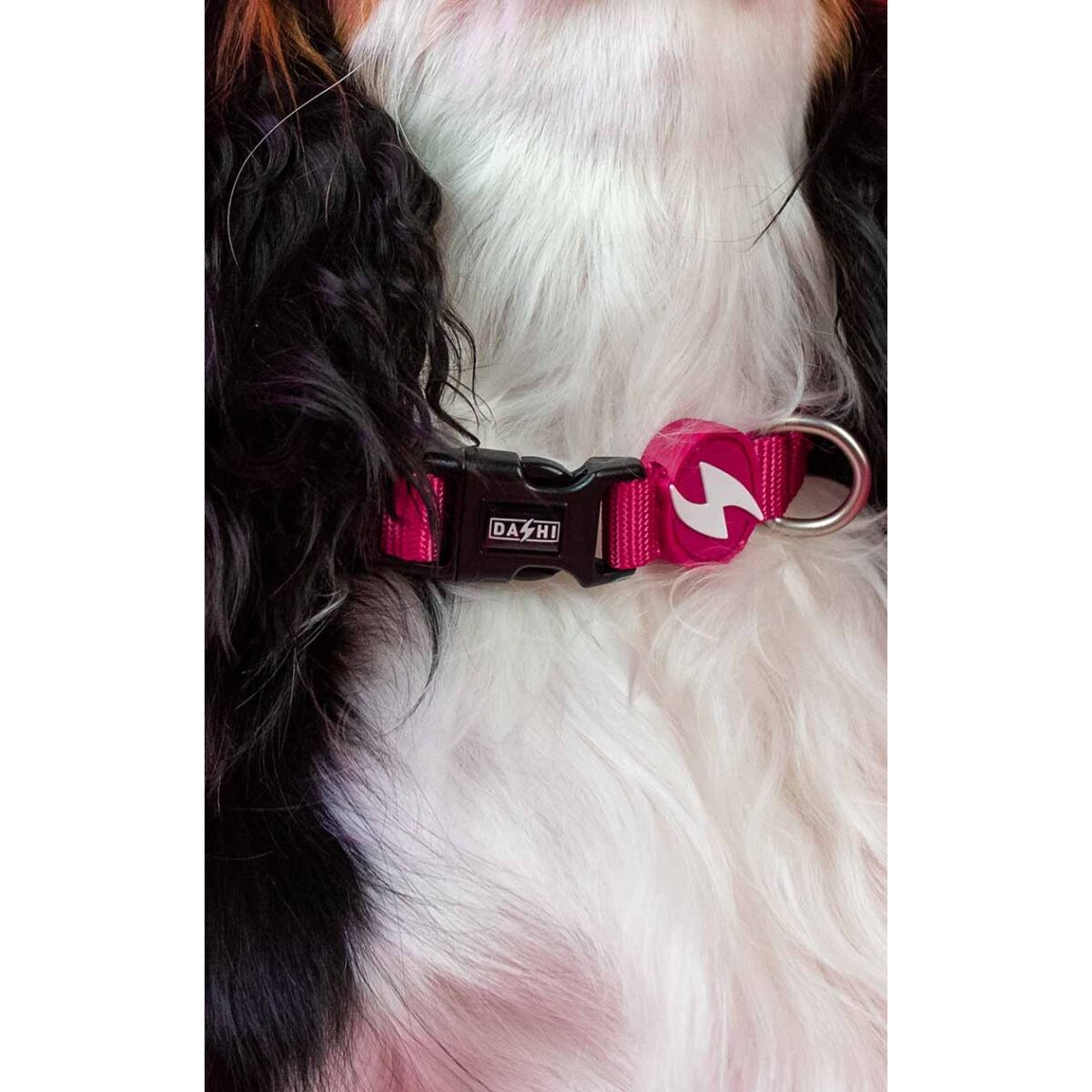 DASHI SOLID PINK COLLAR WEPET