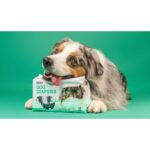 Dashi Dog Diapers 12un WEPET