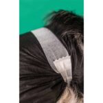 Dashi Dog Diapers 12un WEPET