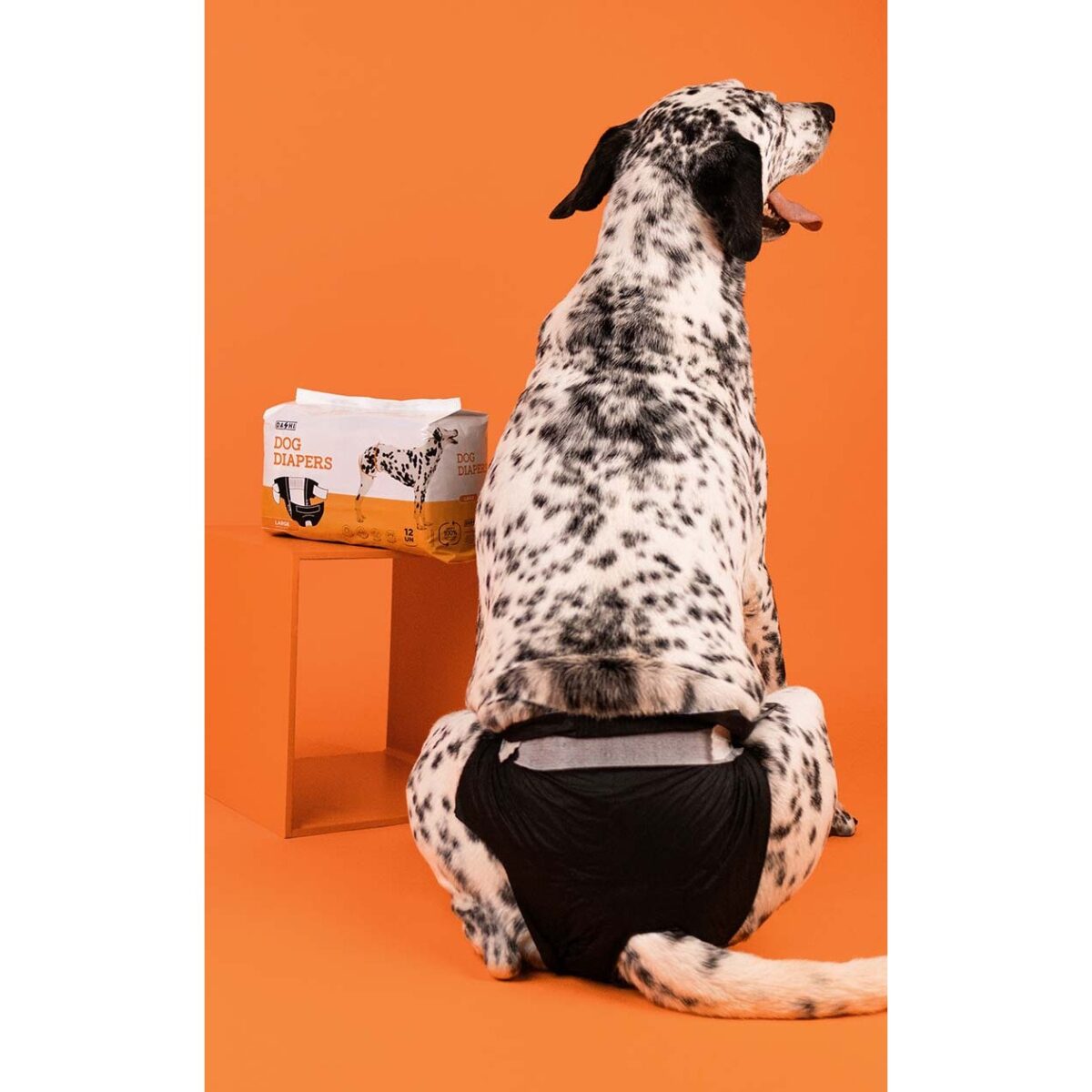 Dashi Dog Diapers 12un WEPET