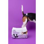 Dashi Dog Diapers 12un WEPET