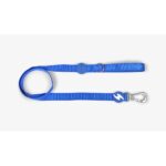 Dashi Leash Solid Blue WEPET