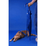Dashi Leash Solid Blue WEPET